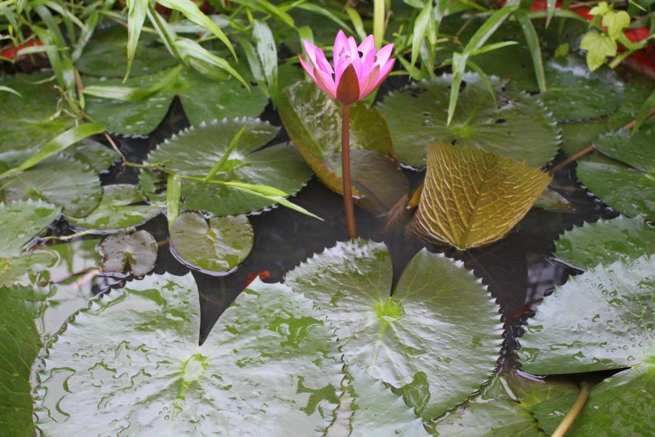 Tra Vinh Lodge Nguyet Hang Exteriér fotografie